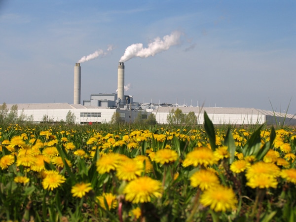 AEB Plant